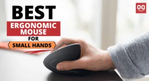 Read more about the article 10 Best Ergonomic Mouse For Small Hands In 2022