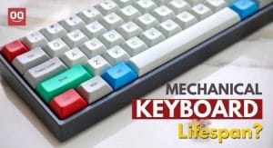 Read more about the article How Long Do Mechanical Keyboards Last? (Explained)
