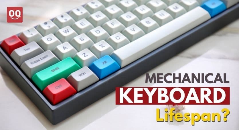 How Long Do Mechanical Keyboards Last? (Explained)