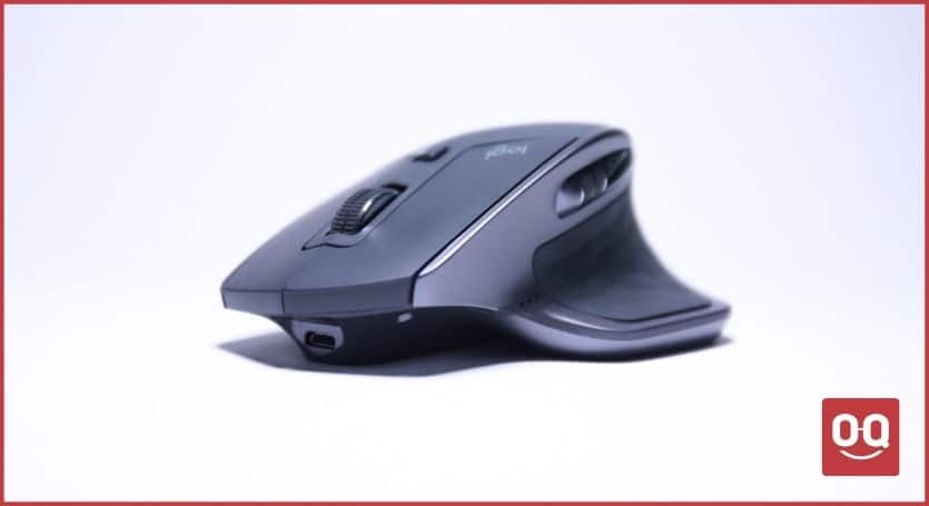 best ergonomic mouse for large hands