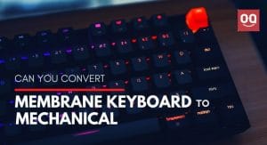 Read more about the article Can You Convert a Membrane Keyboard to Mechanical?