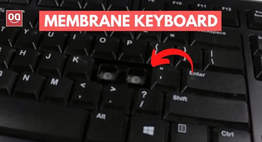 membrane switch