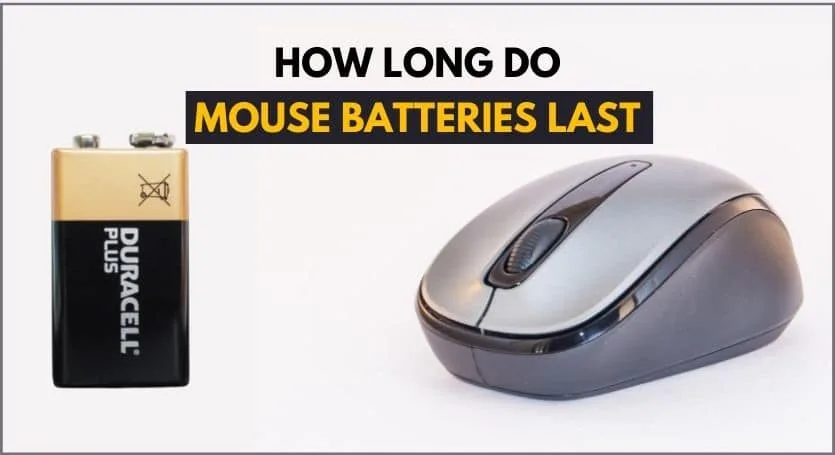 How Long Do Wireless Mouse Batteries Last? (Explained)