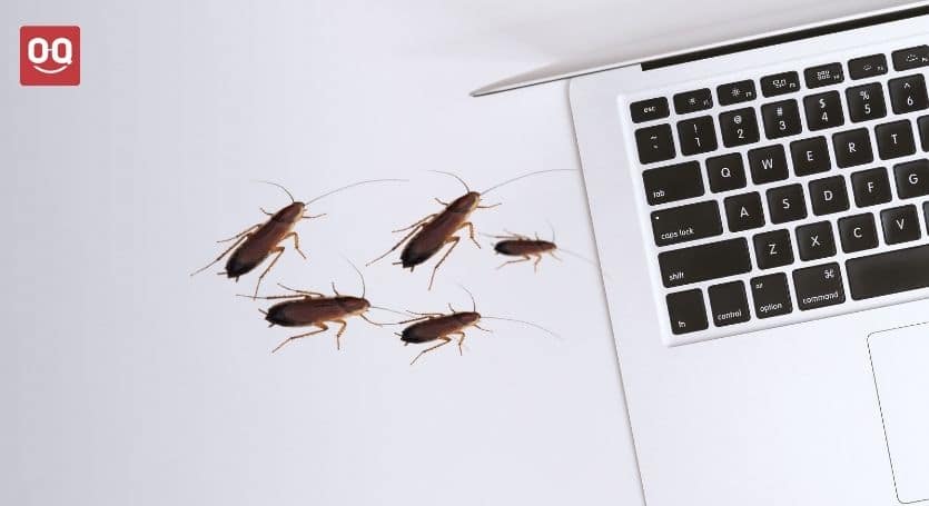 how to get roaches out of laptop