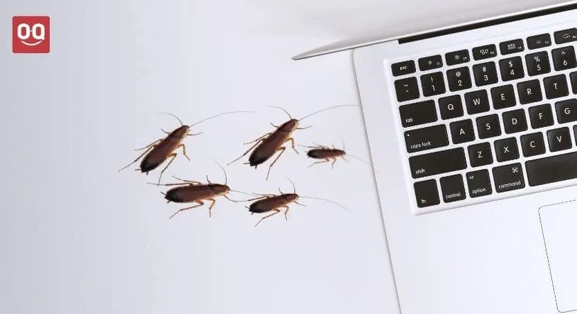 how to get roaches out of laptop