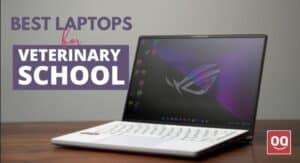 Read more about the article Top 7 Best Laptop for Veterinary School in 2022