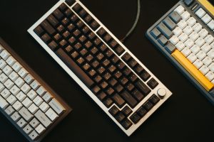 Read more about the article A Comprehensive Guide to Choosing the Perfect Keyboard for Work, Gaming, and Everyday Use