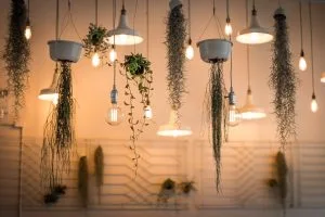 Read more about the article Smart Lighting Simplified: A Comprehensive Guide to Choosing and Installing Smart Lights